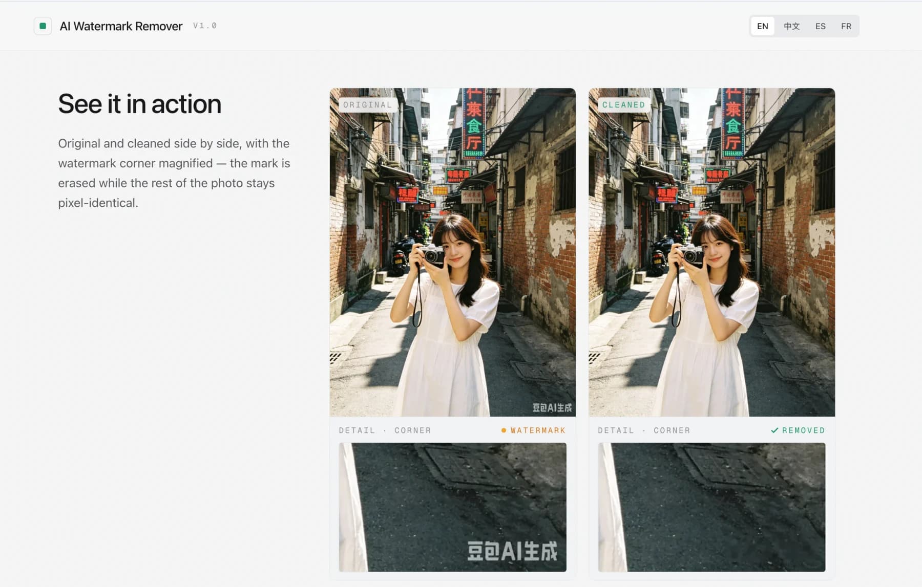 AI Watermark Remover original and cleaned image comparison