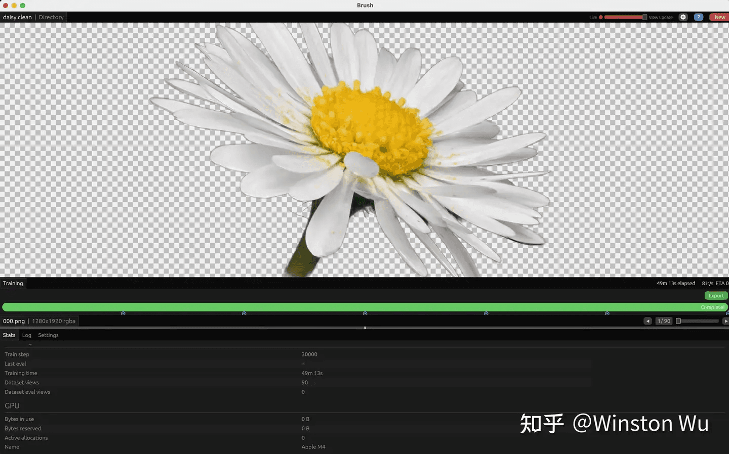 A reconstructed daisy being trained in Brush with 3D Gaussian Splatting